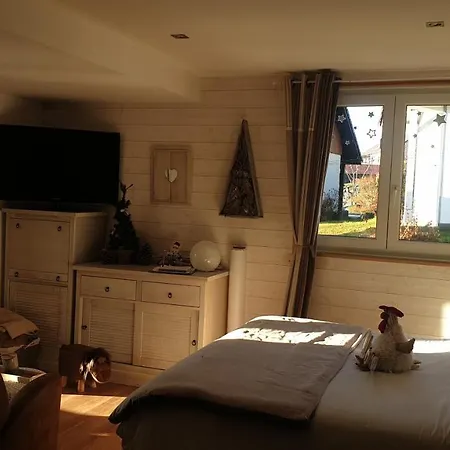 Au Nid Cosy D'Isa A Gerardmer Vosges - Spas Privatifs Exterior photo